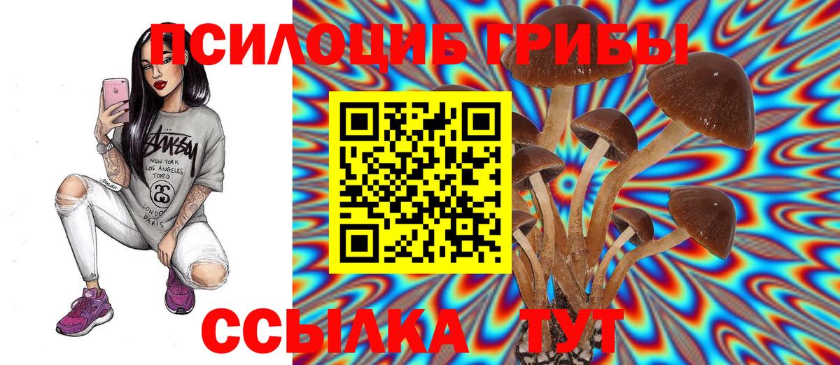 Псилоцибиновые грибы GOLDEN TEACHER  Вход с VPN  Рузаевка 