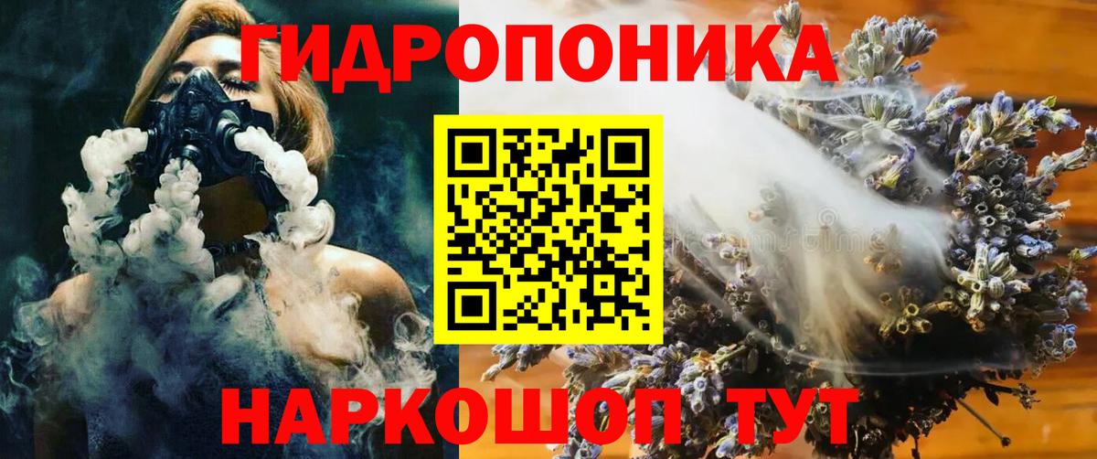 Бошки Шишки план Рузаевка